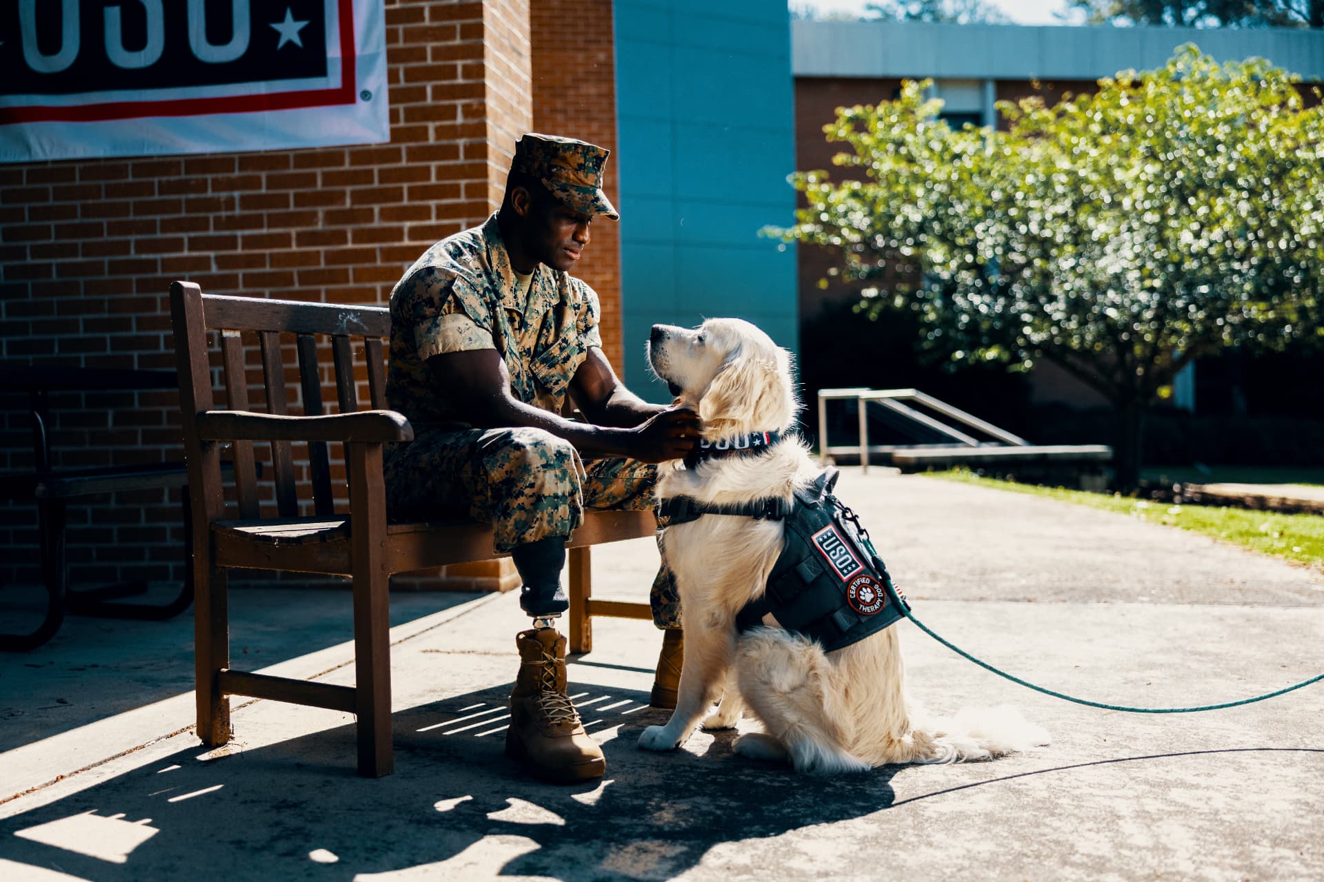 A Marine sitting on a bench outside, greeting a certified USO therapy dog in a working vest.